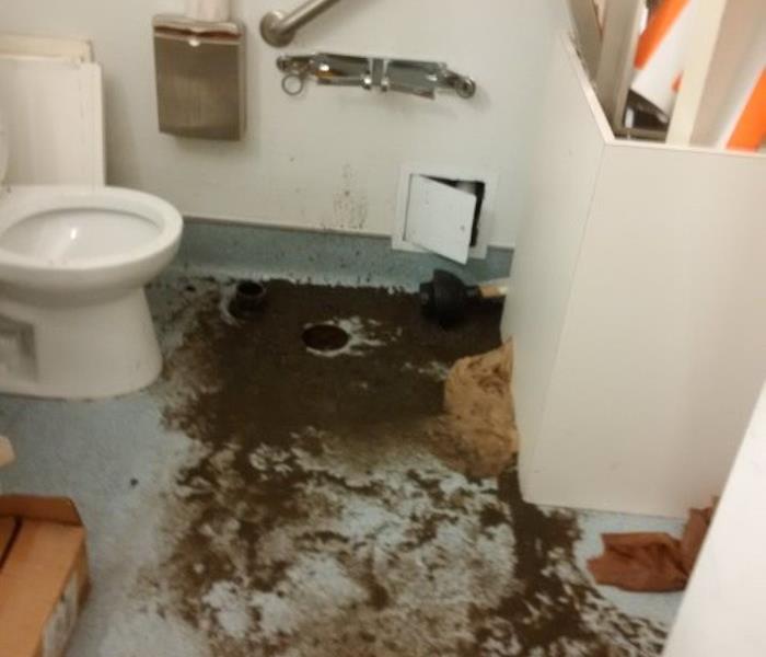 toilet in bathroom with sewage around it (before)